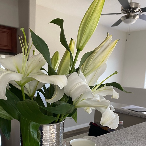 Meet your Posher, Monica - Picture 1 of 1